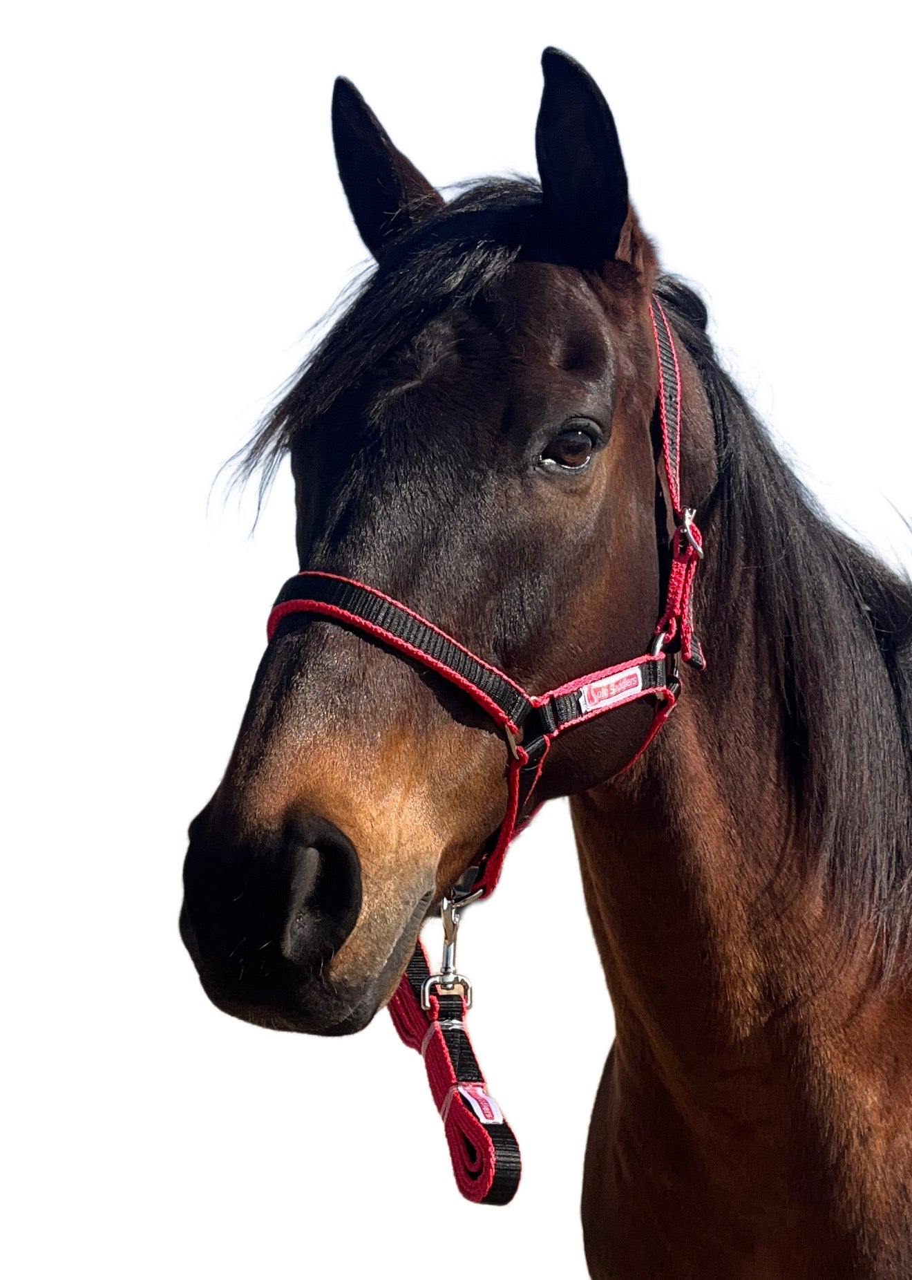 Solo Halter and Lead