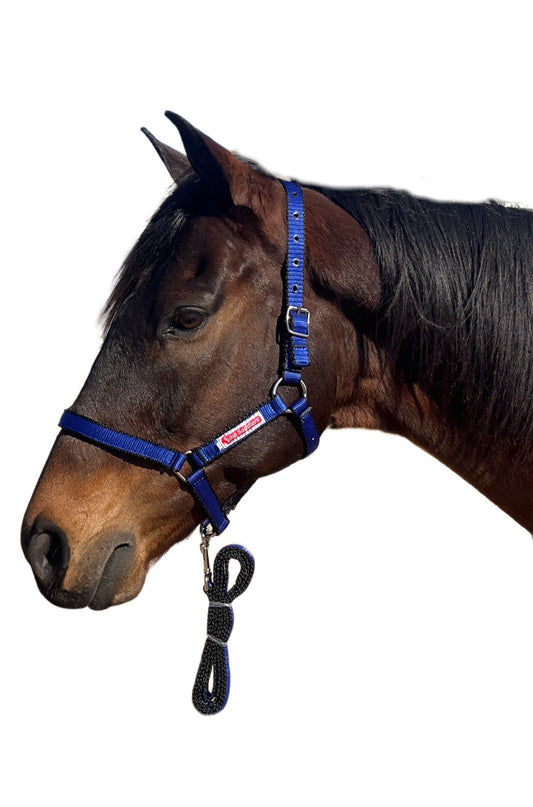 Solo Halter and Lead
