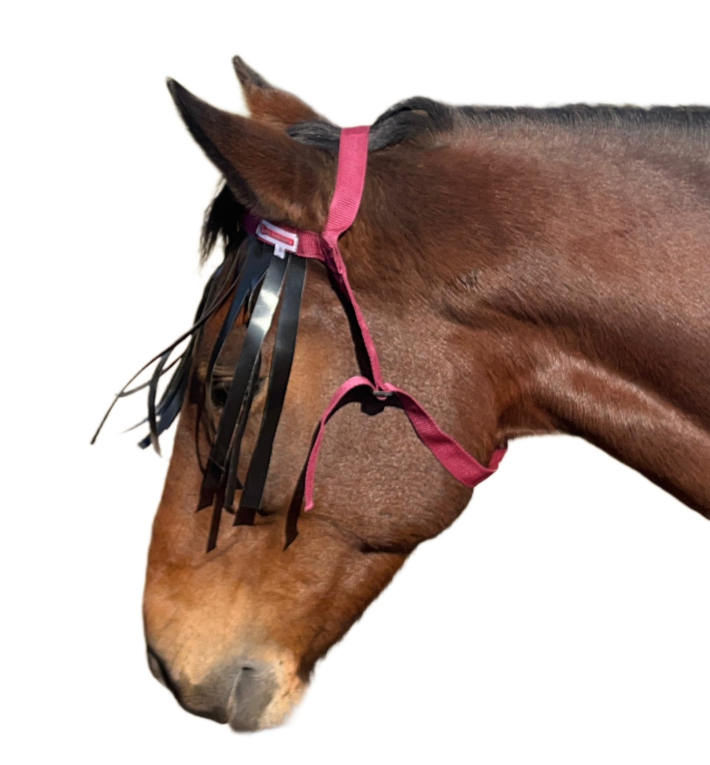 Fly Fringes