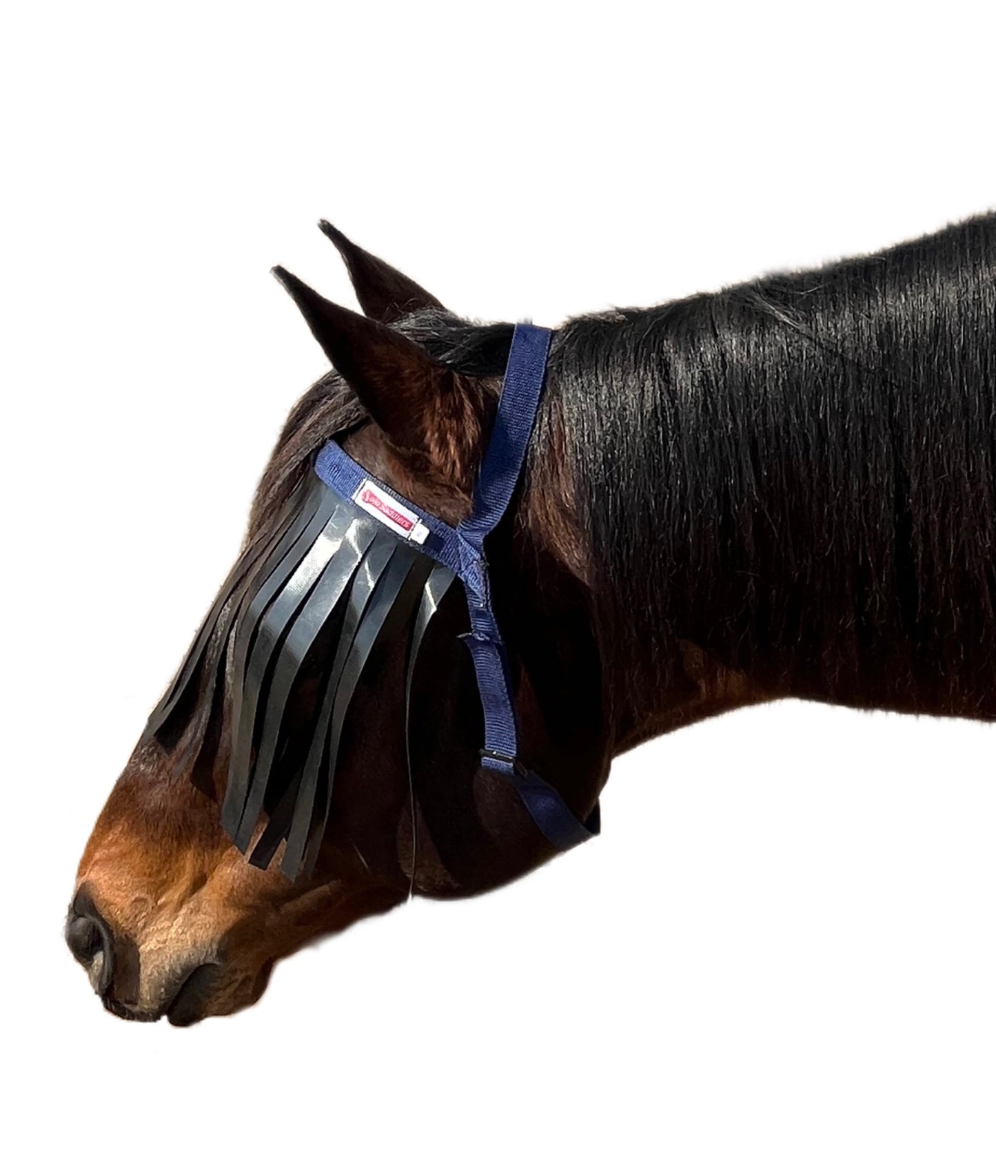 Fly Fringes
