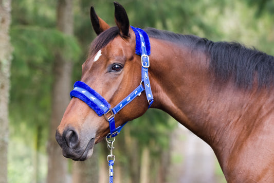 BSE Halter with Lead Rope