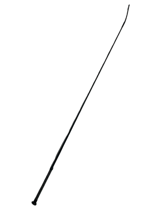 Colourbrite dressage whip