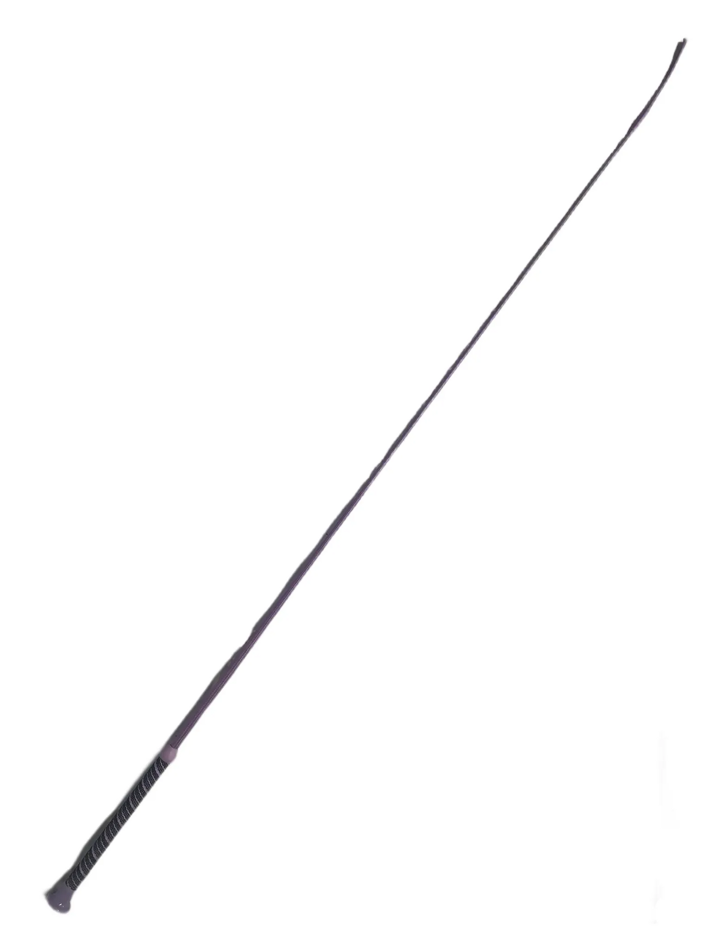 Colourbrite dressage whip