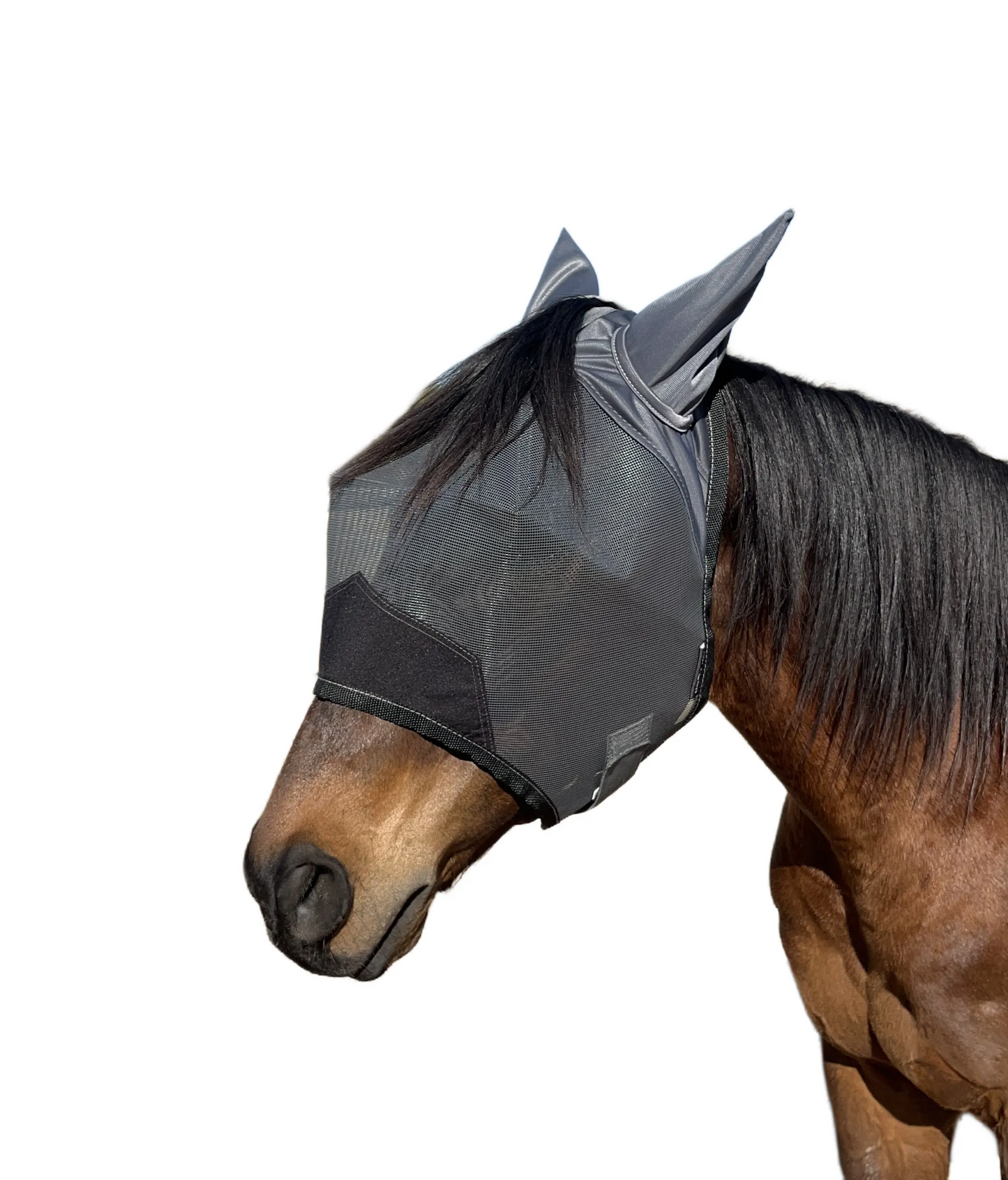 Fly Masks - Navy Bay Apex