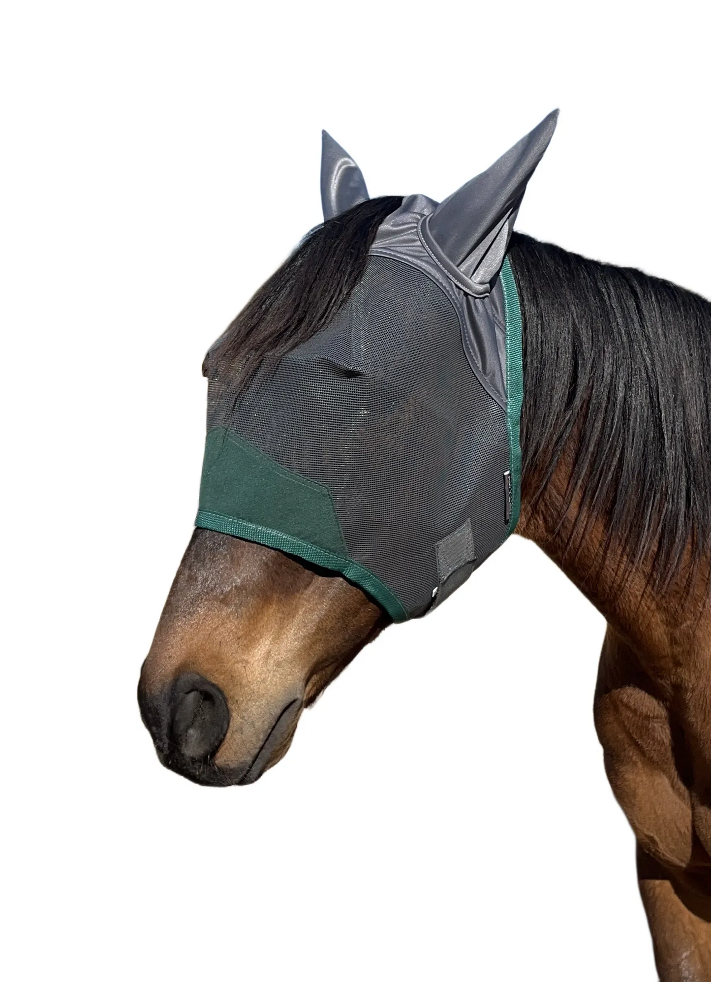 Fly Masks - Navy Bay Apex