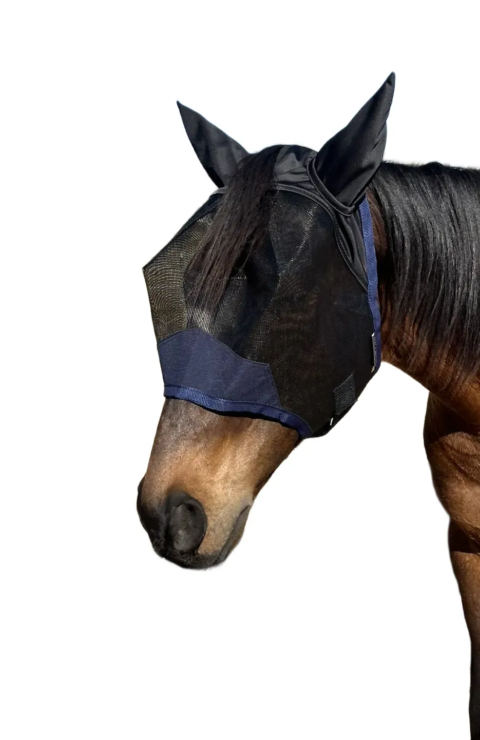 Fly Masks - Navy Bay Apex