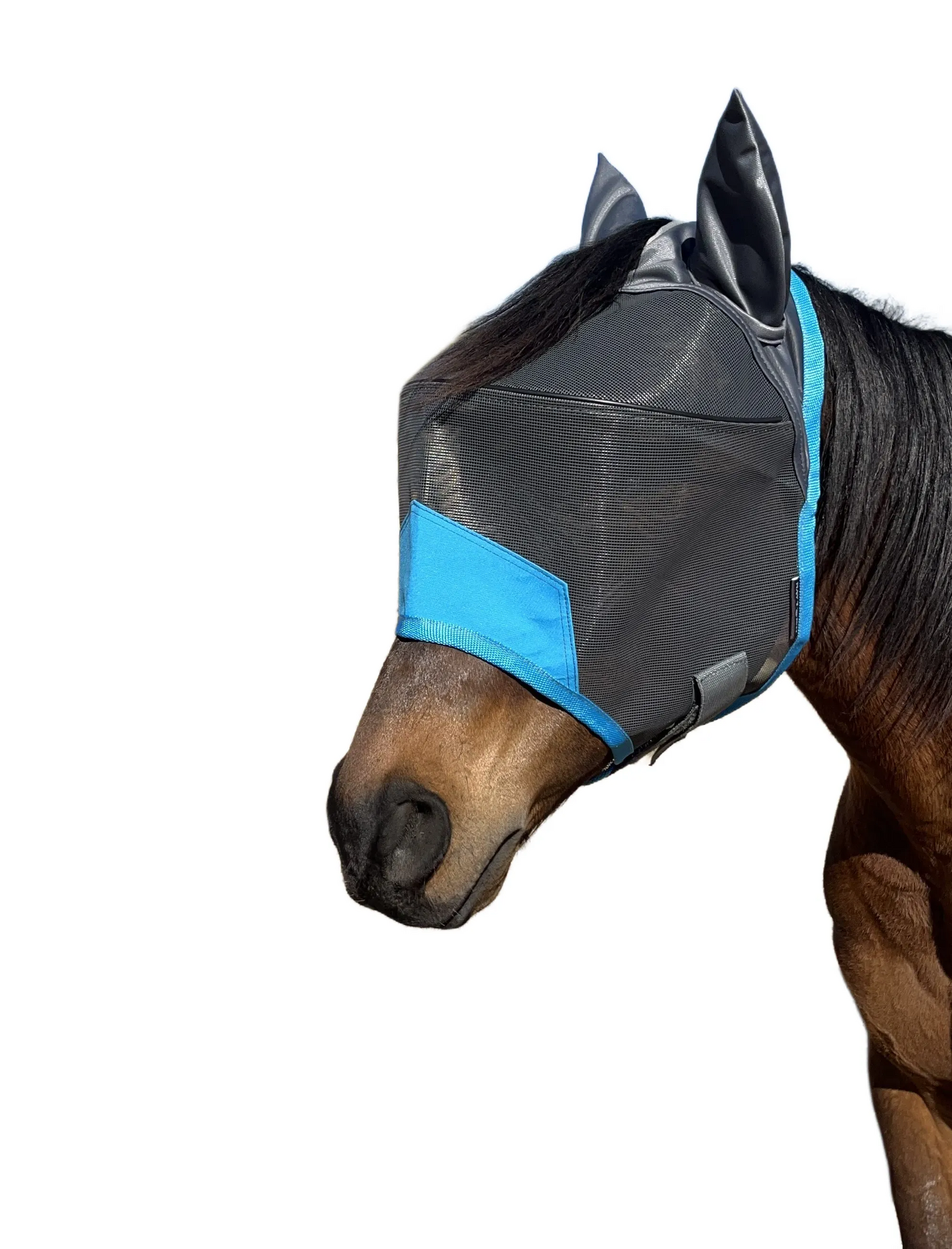 Fly Masks - Navy Bay Deluxe