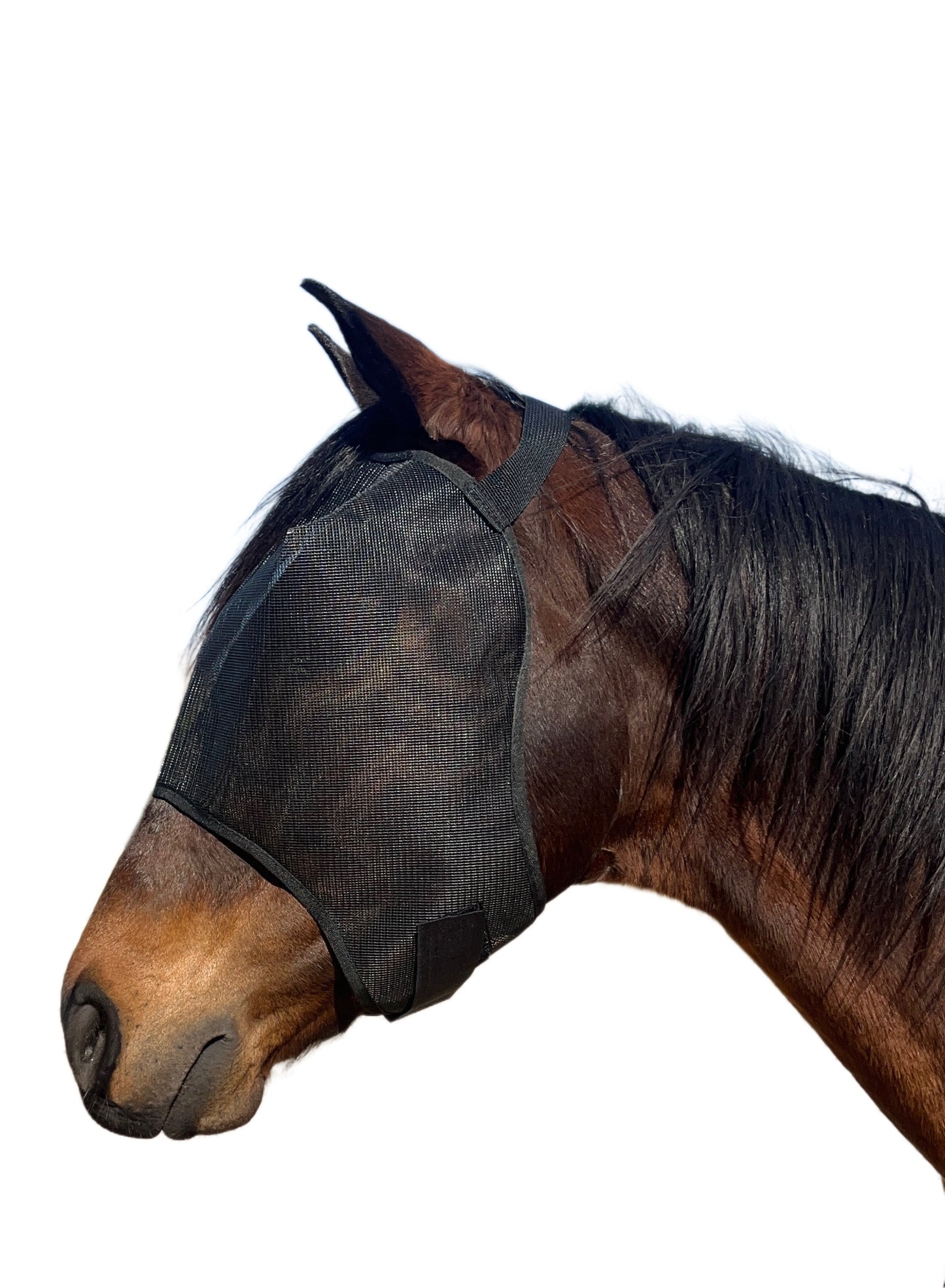 Fly Masks - Solo