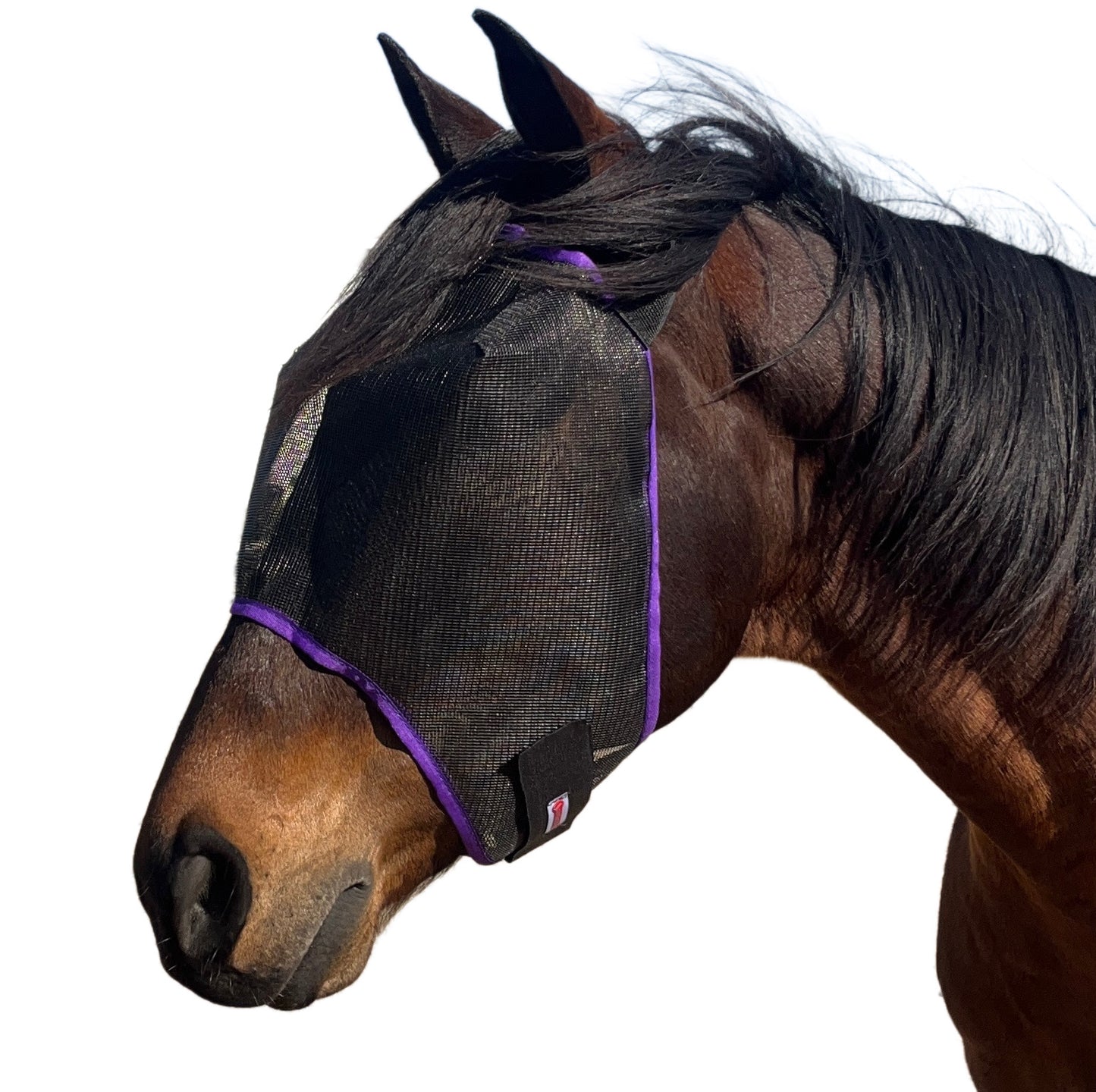 Fly Masks - Solo