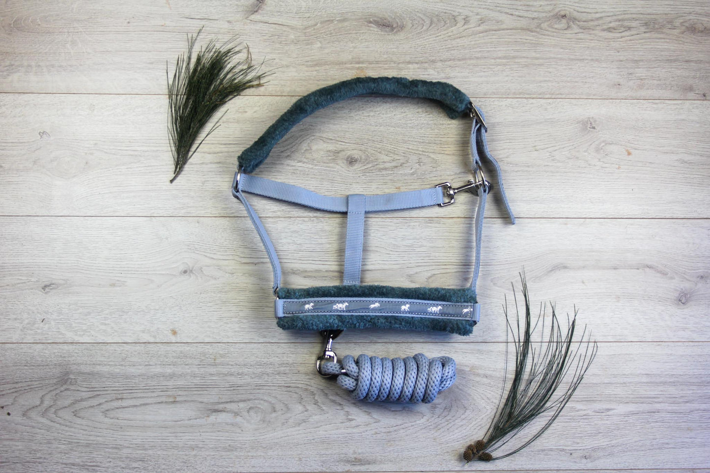 BSE Halter with Lead Rope