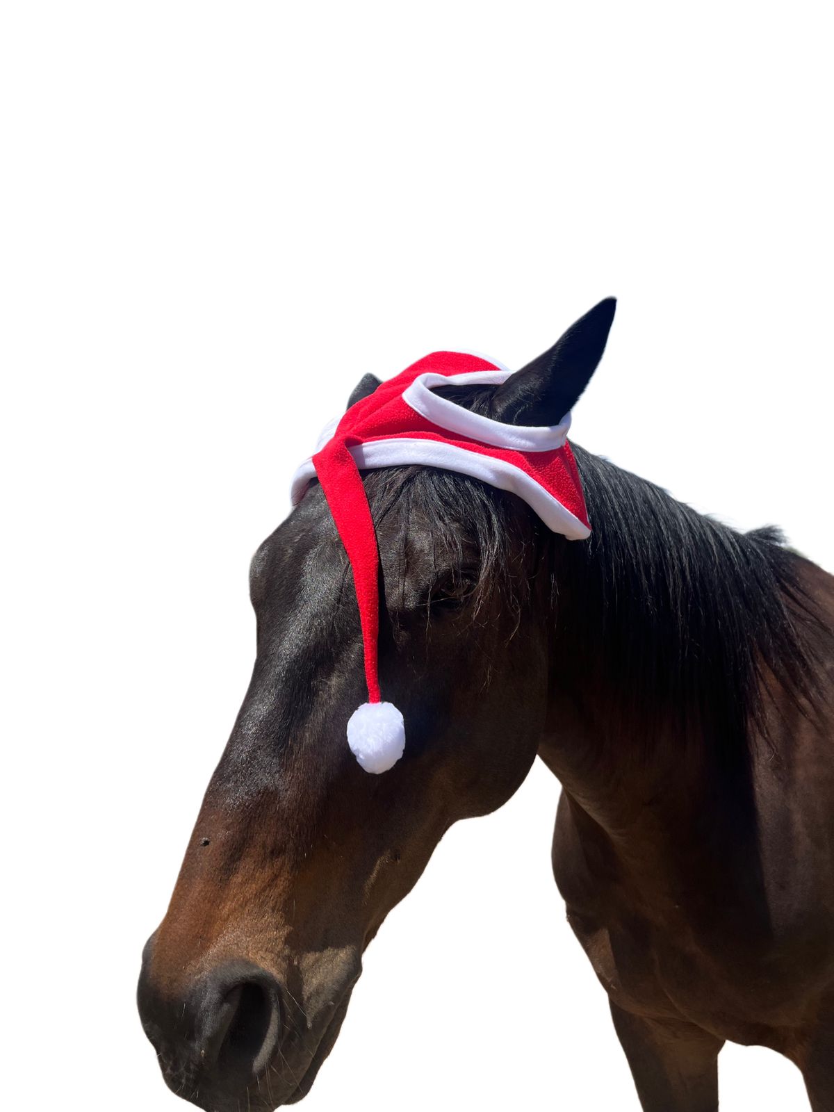 Horse Red Santa Hat